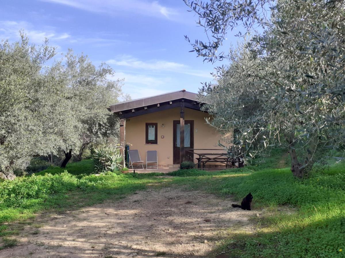 Agriturismo Terra Di Pace ノート エクステリア 写真