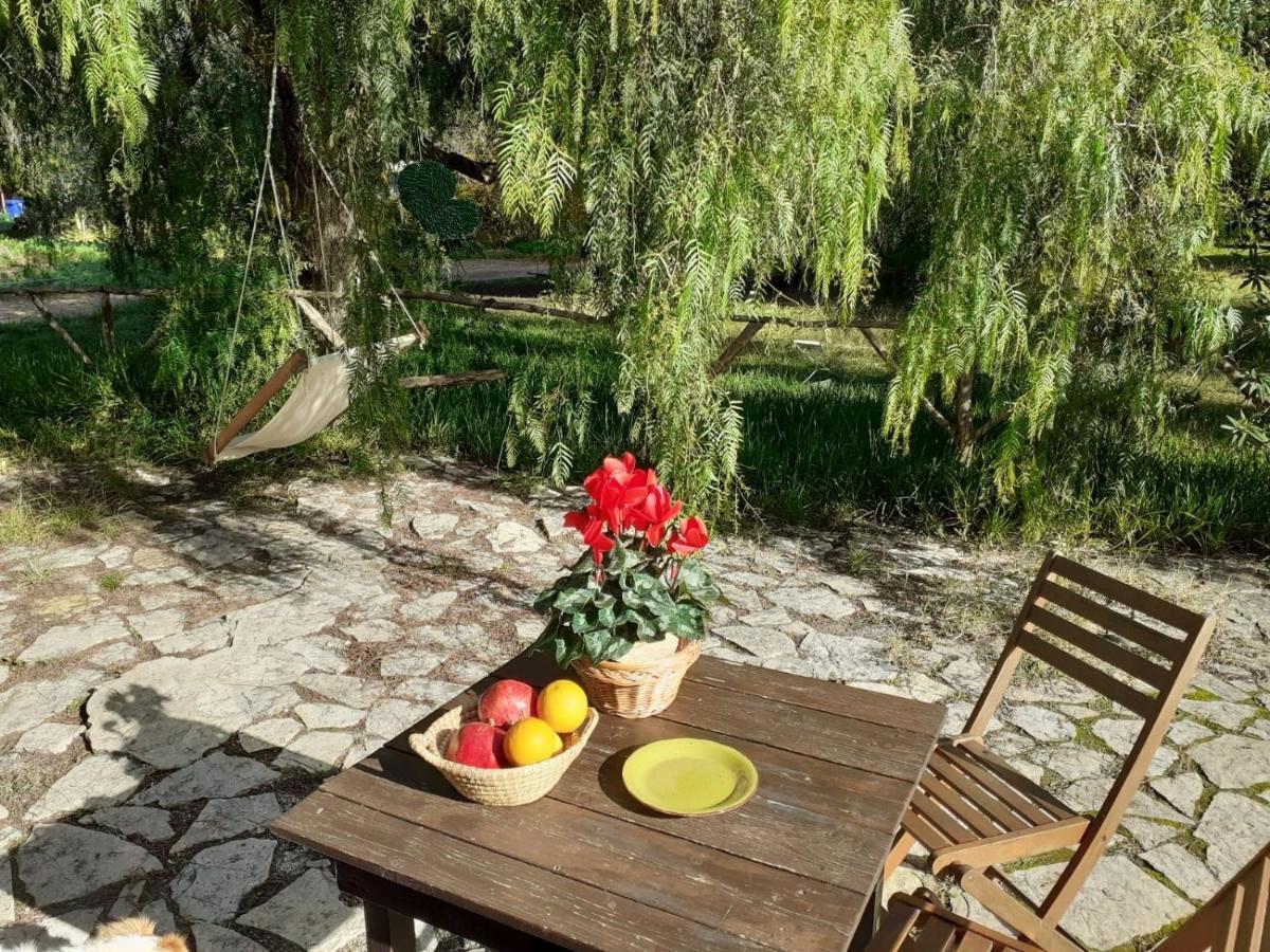 Agriturismo Terra Di Pace ノート エクステリア 写真