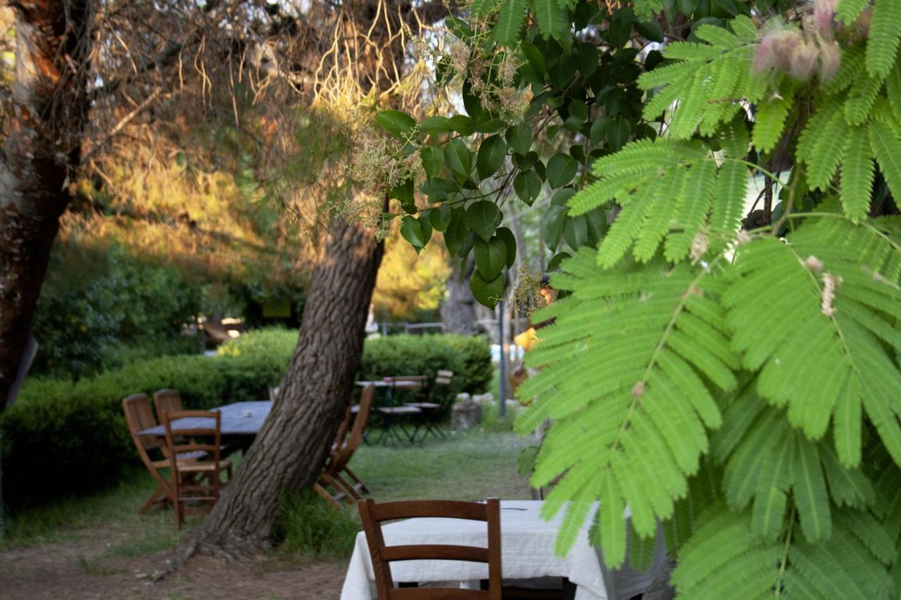 Agriturismo Terra Di Pace ノート エクステリア 写真