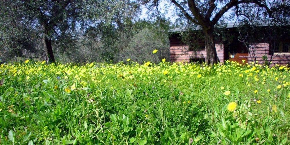 Agriturismo Terra Di Pace ノート エクステリア 写真