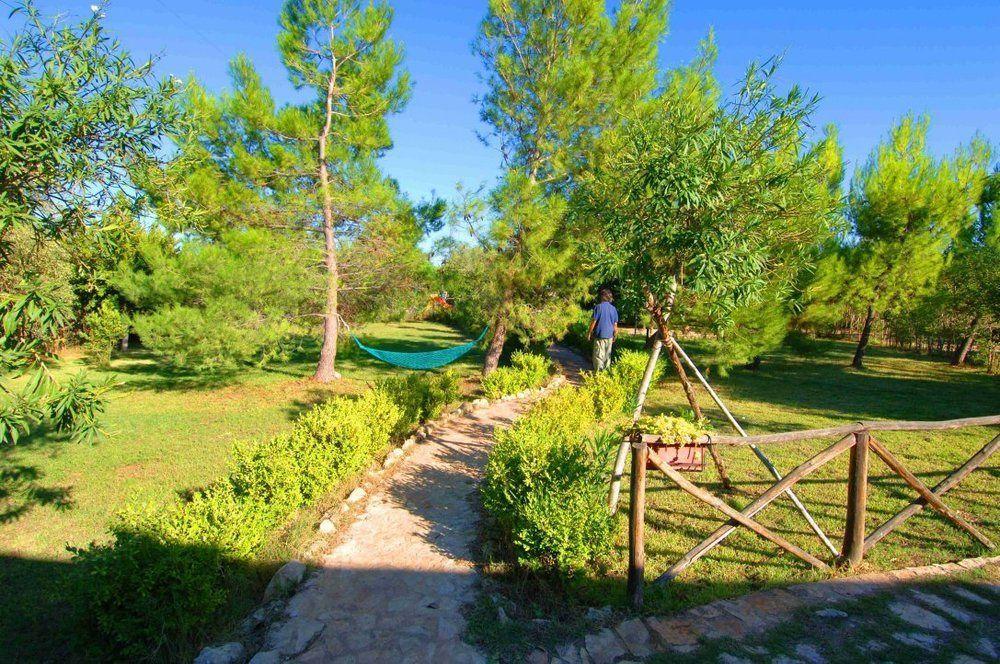 Agriturismo Terra Di Pace ノート エクステリア 写真